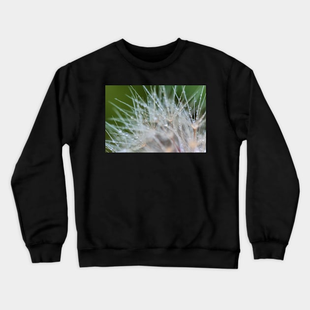 Water dew on Dandelion Crewneck Sweatshirt by jvnimages